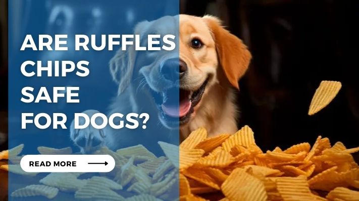 Are Ruffles Chips Safe for Dogs