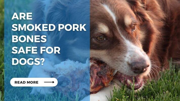 Are Smoked Pork Bones Safe for Dogs