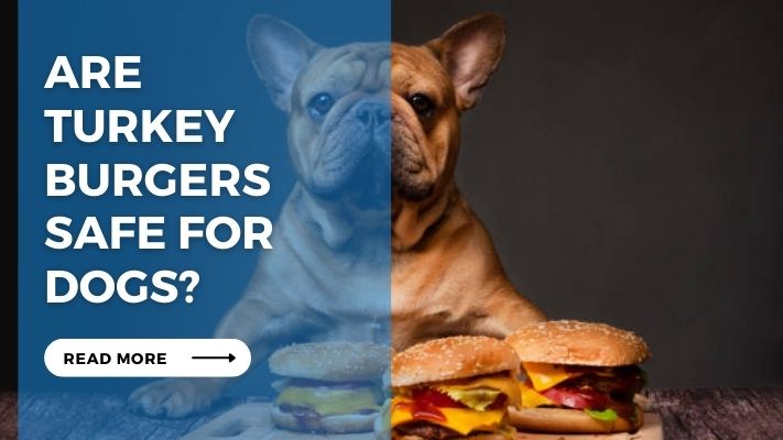 Are Turkey Burgers Safe for Dogs?