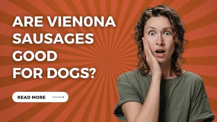 Are Vienna Sausages Good for Dogs