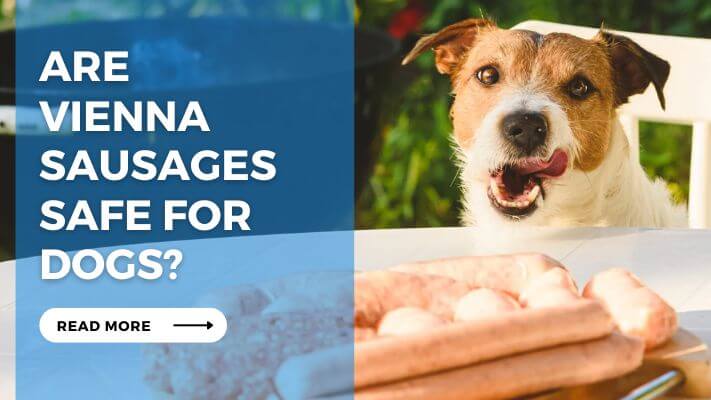 Are Vienna Sausages Safe for Dogs