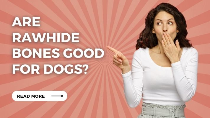 Are rawhide bones Good for Dogs