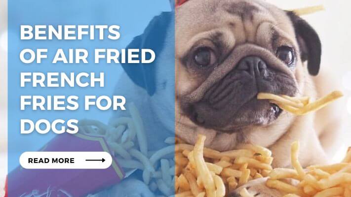 Benefits of Air Fried French Fries for Dogs