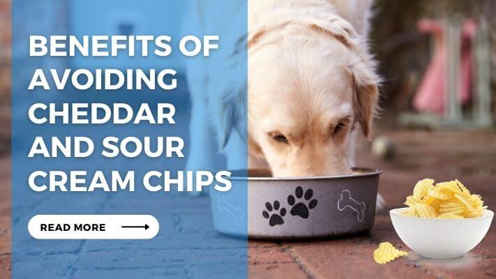 Benefits of Avoiding Cheddar and Sour Cream Chips