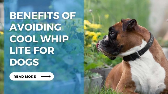 Benefits of Avoiding Cool Whip Lite for Dogs