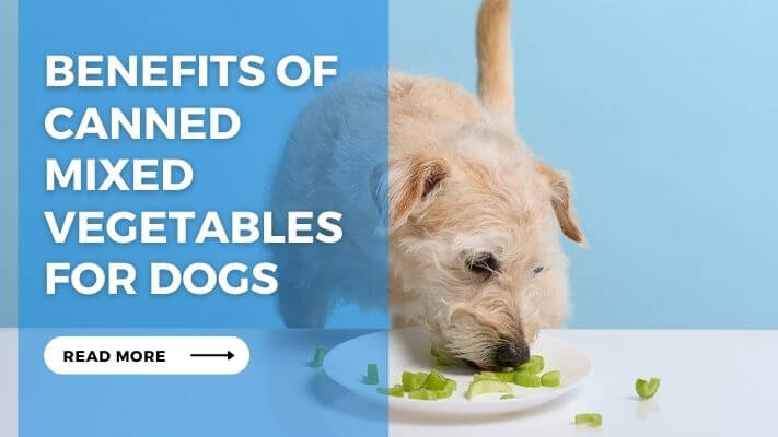 Benefits of Canned Mixed Vegetables for Dogs