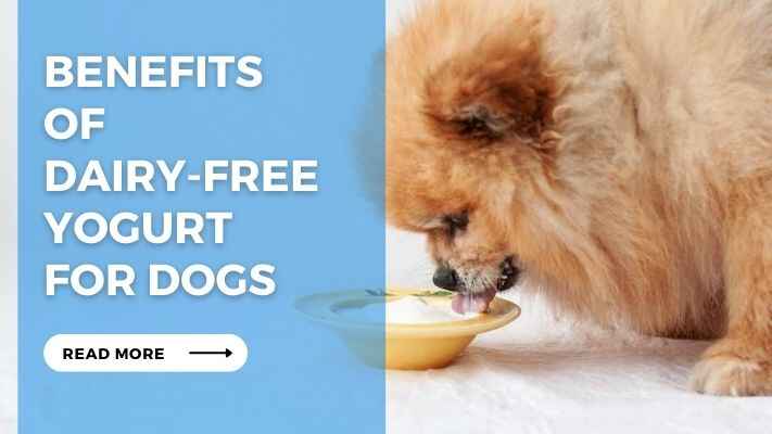 Benefits of Dairy Free Yogurt for Dogs