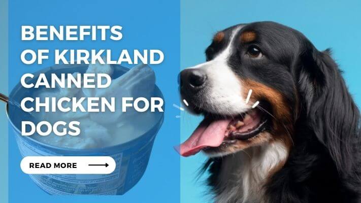 Benefits of Kirkland Canned Chicken for Dogs