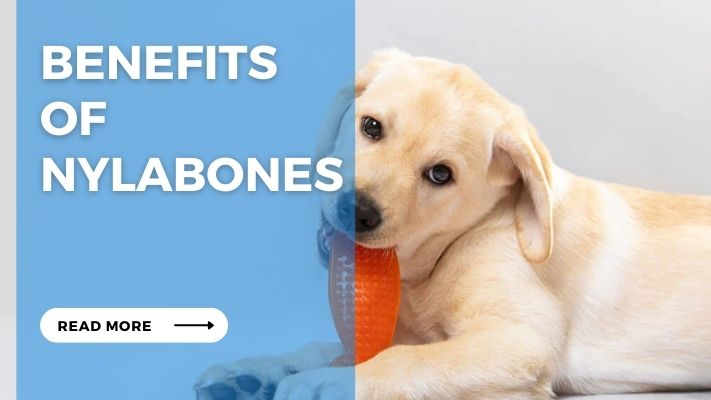 Benefits  of Nylabones