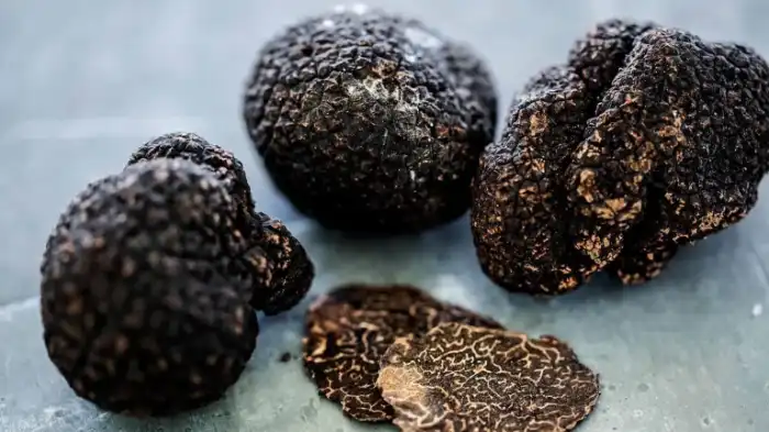 Black Truffles