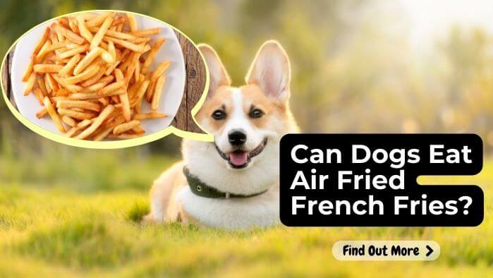 Can Dogs Eat Air Fried French Fries