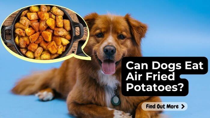 Can Dogs Eat Air Fried Potatoes