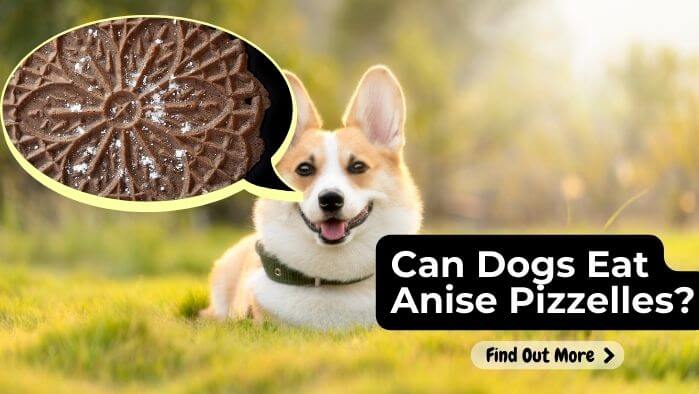 Can Dogs Eat Anise Pizzelles