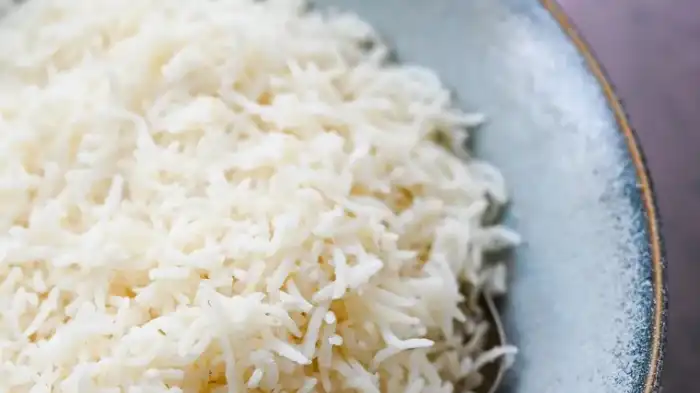 Can Dogs Eat Basmati Rice for Diarrhea