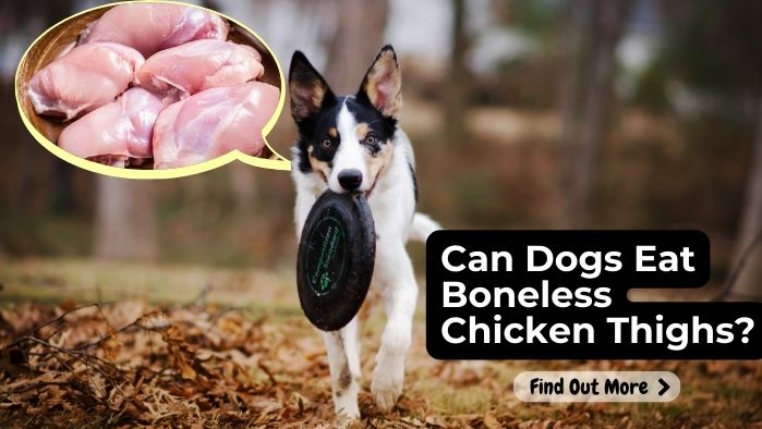 Can Dogs Eat Boneless Chicken Thighs