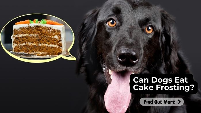 Can Dogs Eat Cake Frosting