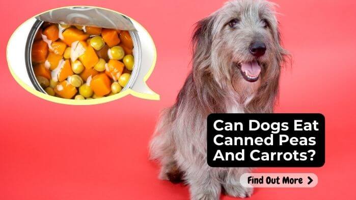 Can Dogs Eat Canned Peas And Carrots