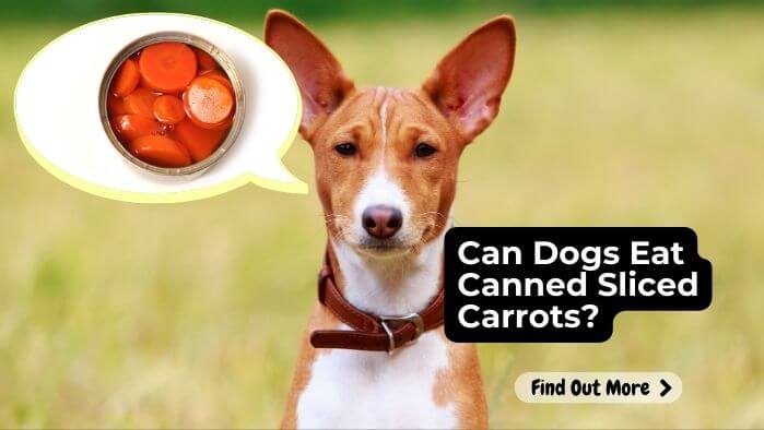Can Dogs Eat Canned Sliced Carrots