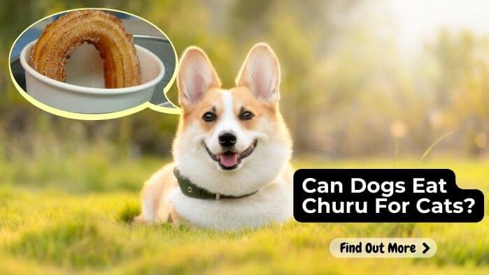 Can Dogs Eat Churu For Cats