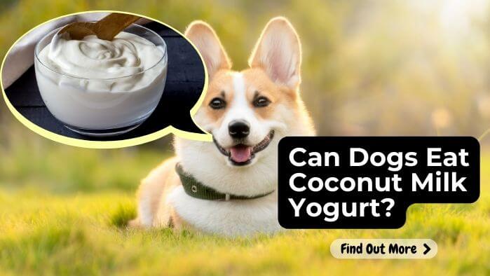 Can Dogs Eat Coconut Milk Yogurt