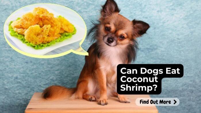 Can Dogs Eat Coconut Shrimp