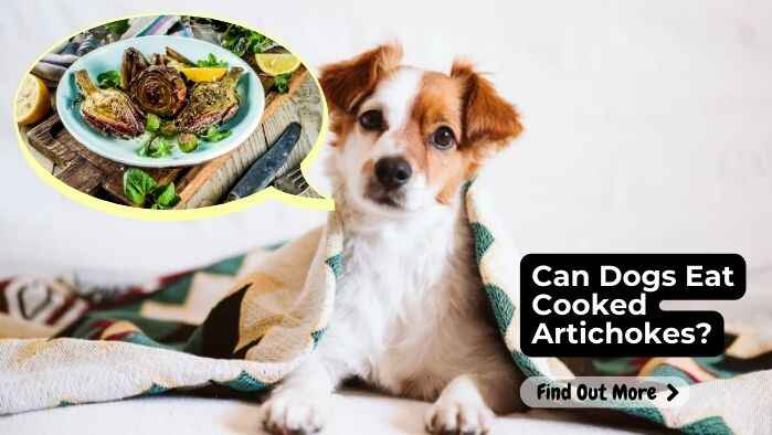 Can Dogs Eat Cooked Artichokes