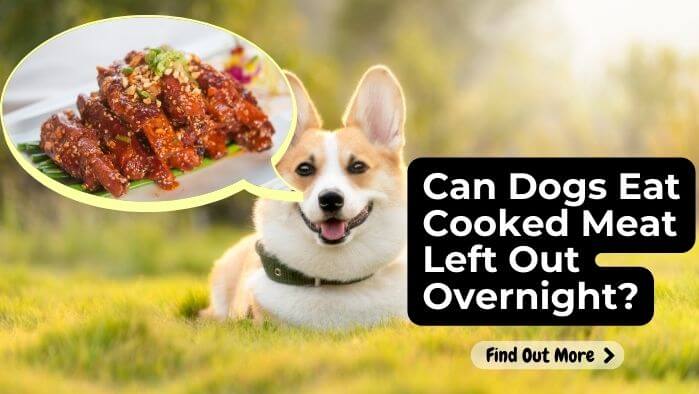 Can Dogs Eat Cooked Meat Left Out Overnight