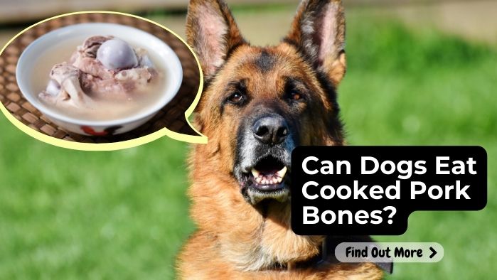 Can Dogs Eat Cooked Pork Bones?