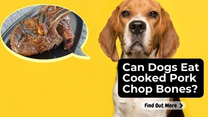 Can Dogs Eat Cooked Pork Chop Bones