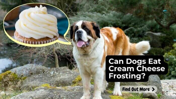 Can Dogs Eat Cream Cheese Frosting