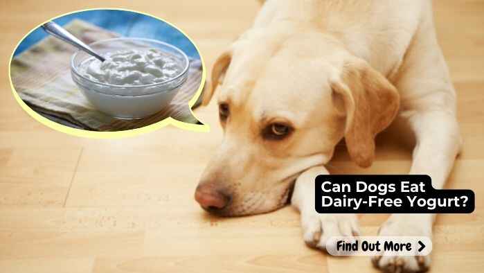 Can Dogs Eat Dairy Free Yogurt