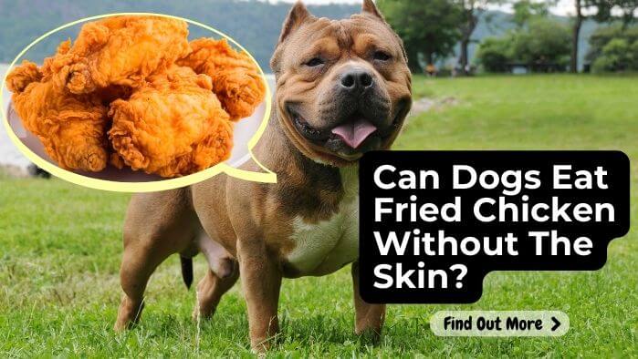 Can Dogs Eat Fried Chicken Without The Skin? - CanDogsEatAI