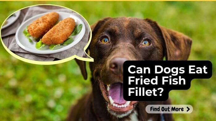 Can Dogs Eat Fried Fish Fillet