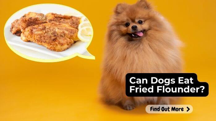 Can Dogs Eat Fried Flounder