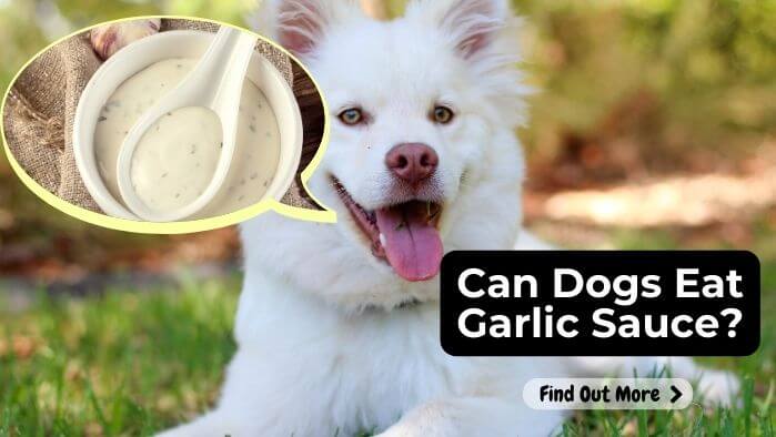 Can Dogs Eat Garlic Sauce