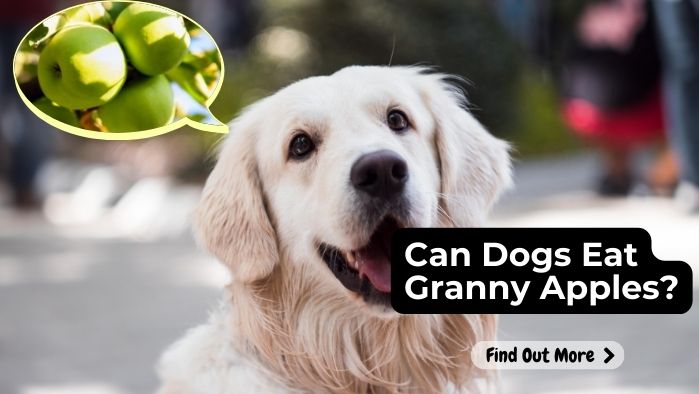 Can Dogs Eat Granny Apples