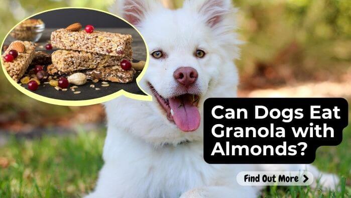 Can Dogs Eat Granola with Almonds