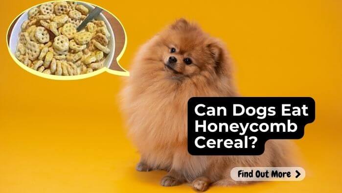 Can Dogs Eat Honeycomb Cereal