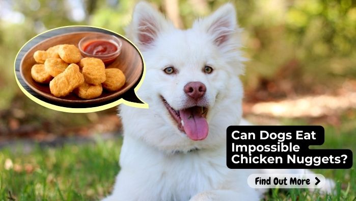 Can Dogs Eat Impossible Chicken Nuggets