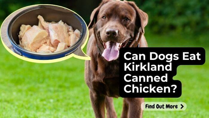 Can Dogs Eat Kirkland Canned Chicken