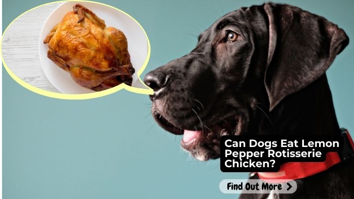 Can Dogs Eat Lemon Pepper Rotisserie Chicken