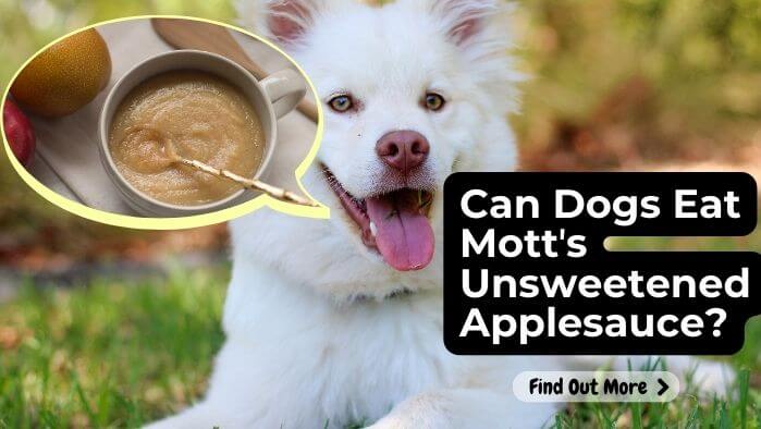 Can Dogs Eat Mottʼs Unsweetened Applesauce