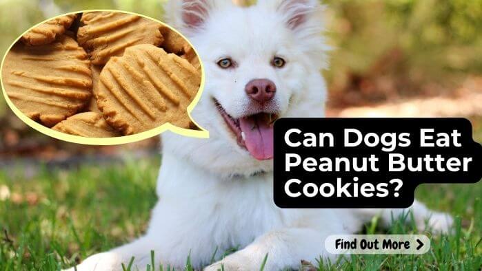 Can Dogs Eat Peanut Butter Cookies