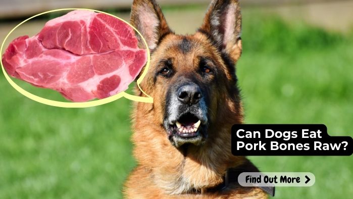 Can Dogs Eat Pork Bones Raw