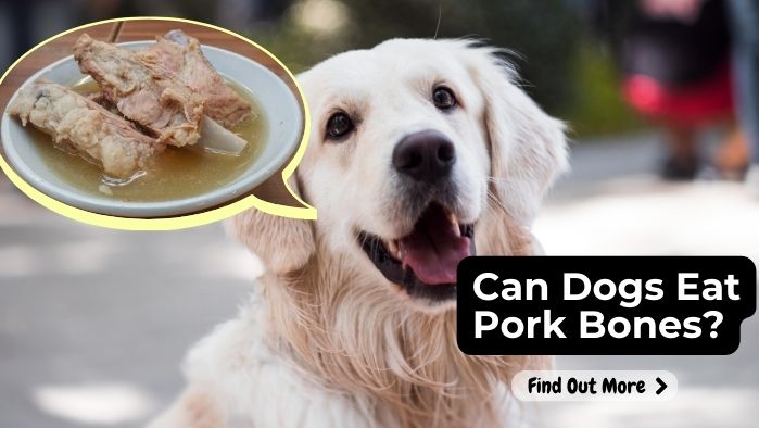 Can Dogs Eat Pork Bones?