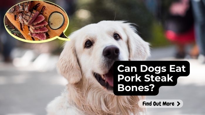 Can Dogs Eat Pork Steak Bones