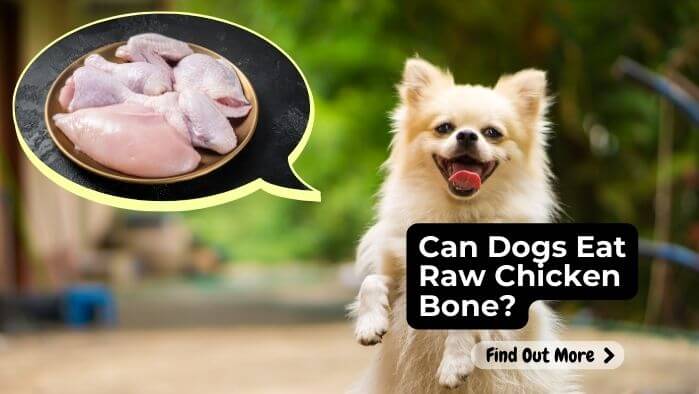 Can Dogs Eat Raw Chicken Bone