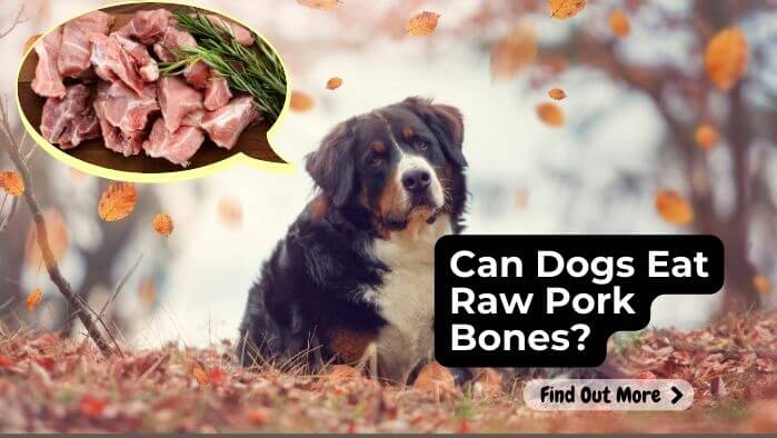 Can Dogs Eat Raw Pork Bones