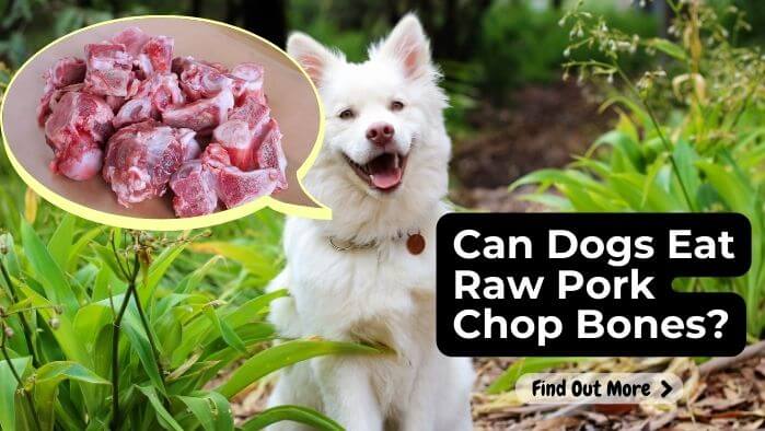 Can Dogs Eat Raw Pork Chop Bones