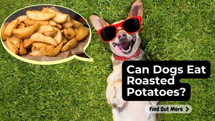 Can Dogs Eat Roasted Potatoes